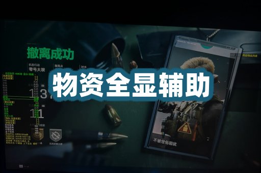物资全显辅助